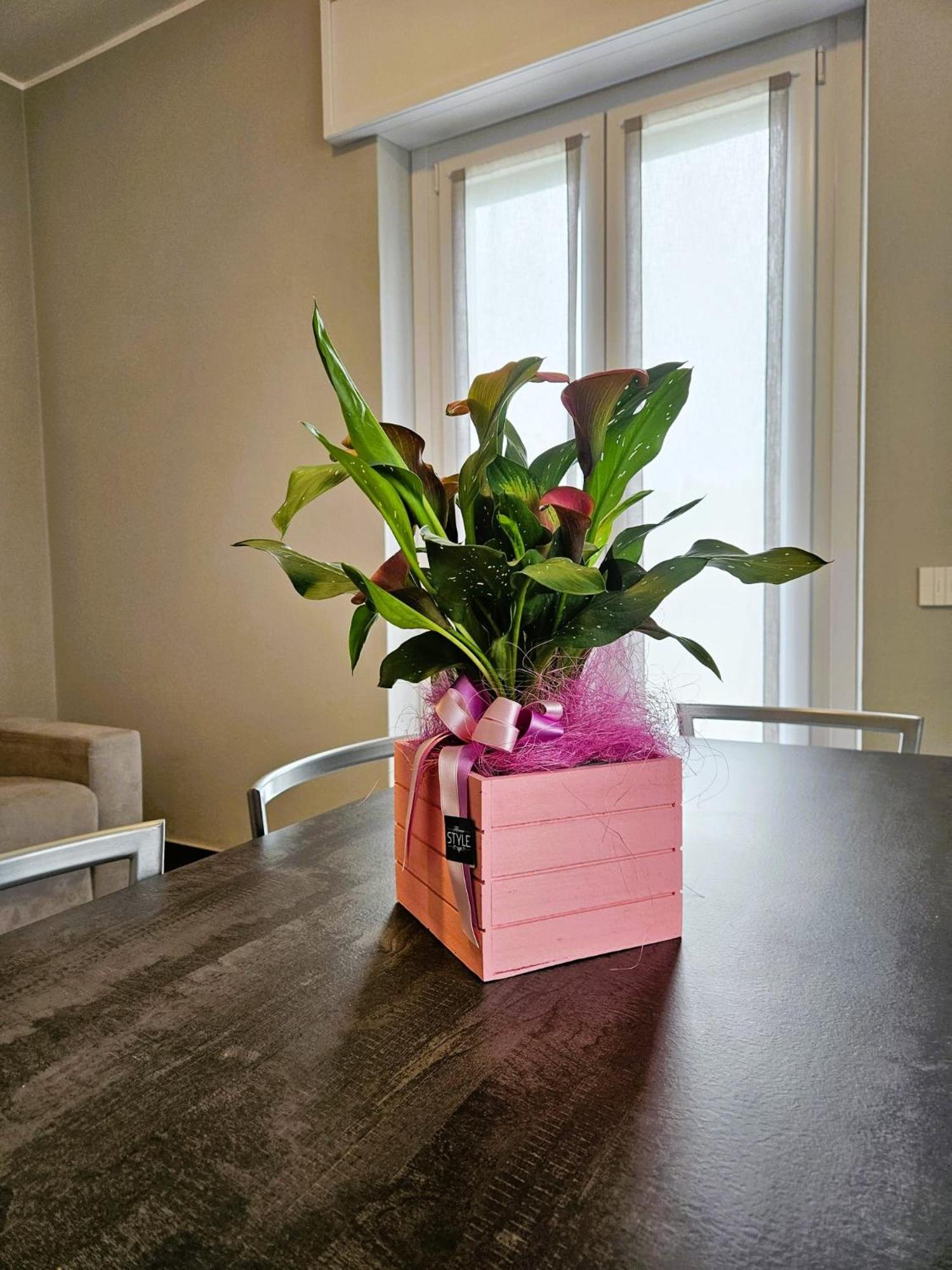 פאסטרנגו Via Brennero 5 Apartments מראה חיצוני תמונה